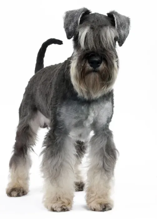 Framed Print : Picture No. 10895222 Framed Print : Picture No. 10895222