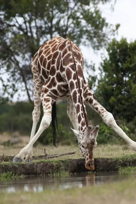 Framed Print : Picture No. 10895594 Framed Print : Picture No. 10895594
