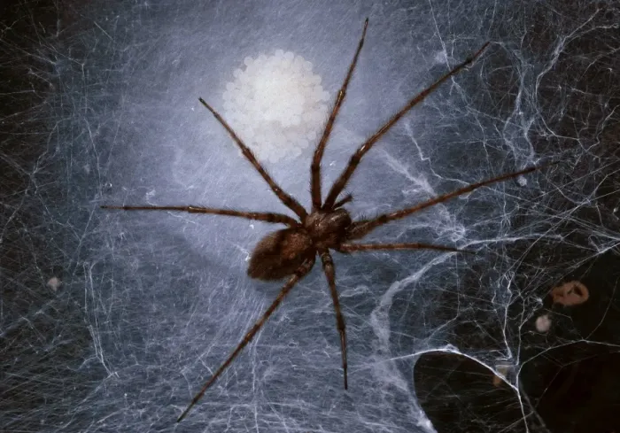 Framed Print : Picture No. 10896188 Framed Print : Picture No. 10896188