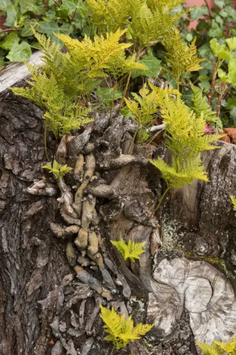 Framed Print : Picture No. 10896435 Framed Print : Picture No. 10896435