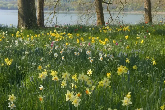 Framed Print : Picture No. 10896705 Framed Print : Picture No. 10896705
