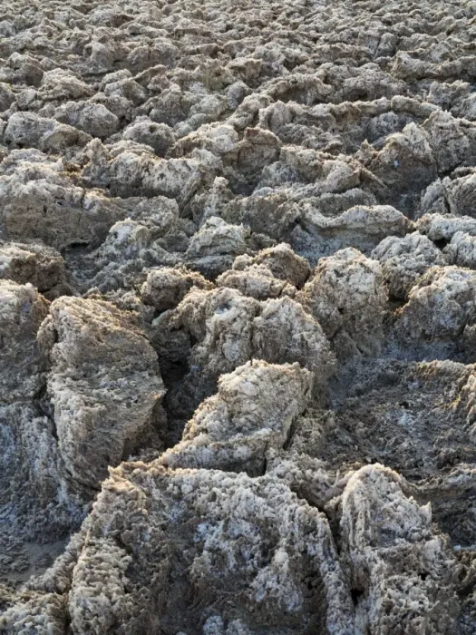 Framed Print : Picture No. 10897044 Framed Print : Picture No. 10897044