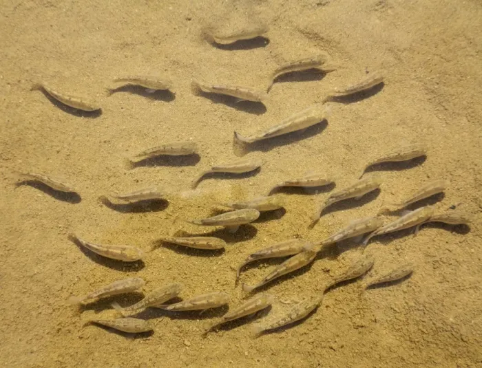 Framed Print : Picture No. 10897089