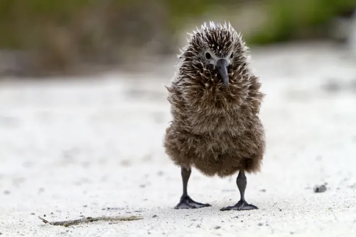 Framed Print : Picture No. 10898598 Framed Print : Picture No. 10898598