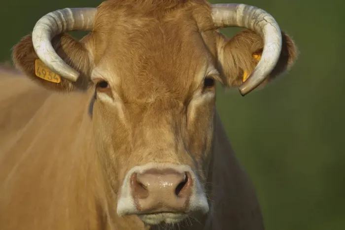 Framed Print : Picture No. 10898650 Framed Print : Picture No. 10898650