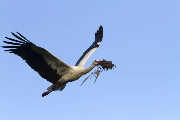 Framed Print : Picture No. 10899041 Framed Print : Picture No. 10899041
