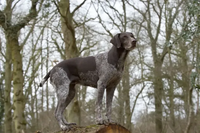 Framed Print : Picture No. 10900002
