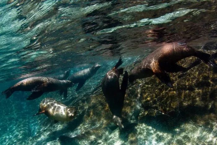Framed Print : Picture No. 10900440