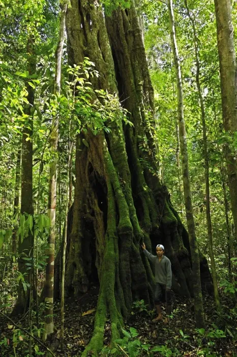 Framed Print : Picture No. 10909304 Framed Print : Picture No. 10909304