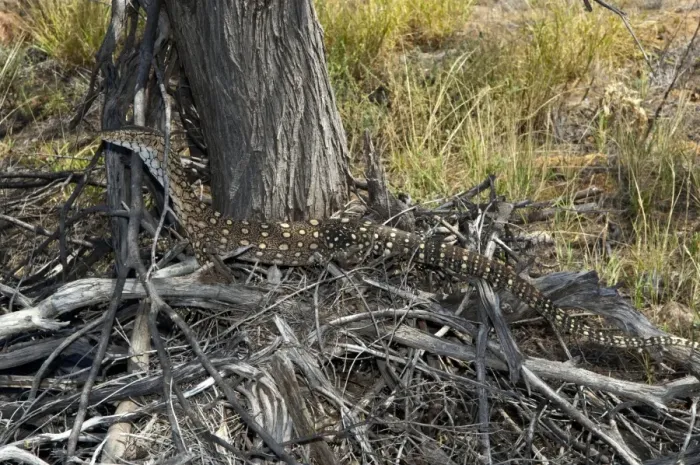 Framed Print : Picture No. 10947320 Framed Print : Picture No. 10947320