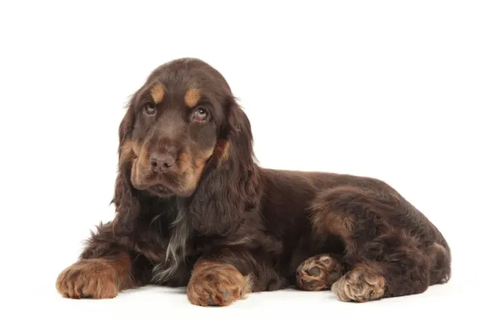 Framed Print : Picture No. 10982872 Framed Print : Picture No. 10982872