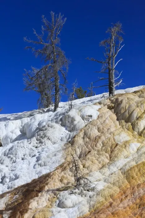 Framed Print : Picture No. 10984586 Framed Print : Picture No. 10984586