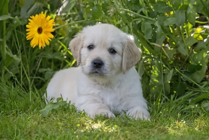 Framed Print : Picture No. 10984751 Framed Print : Picture No. 10984751