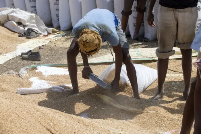 Framed Print : Picture No. 11050851 Framed Print : Picture No. 11050851