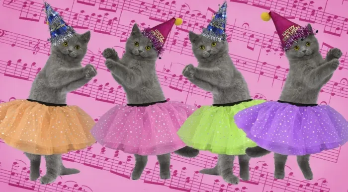 Framed Print : Picture No. 11051155 Framed Print : Picture No. 11051155
