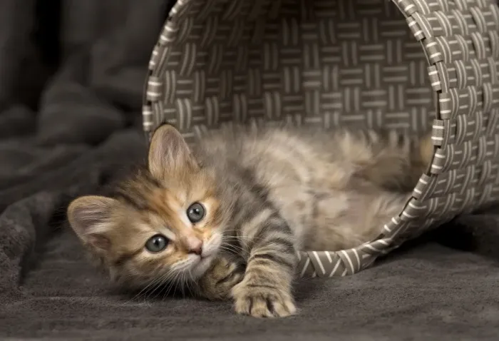 Framed Print : Picture No. 11092630 Framed Print : Picture No. 11092630
