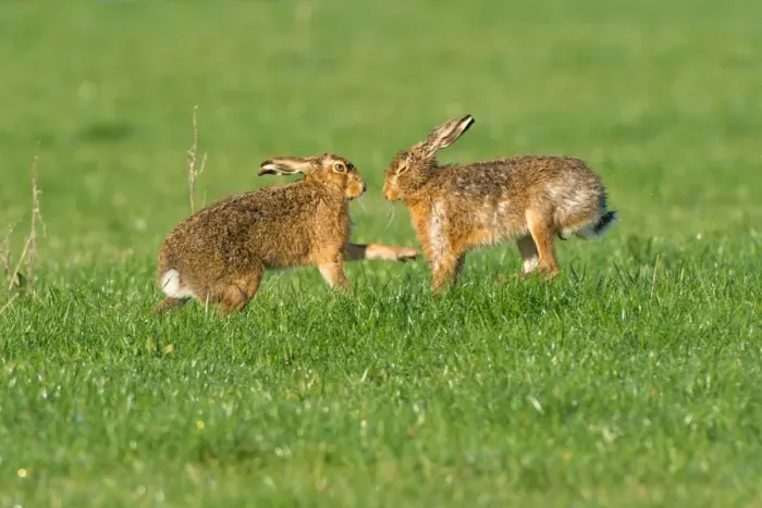 Framed Print : Picture No. 11671361 Framed Print : Picture No. 11671361