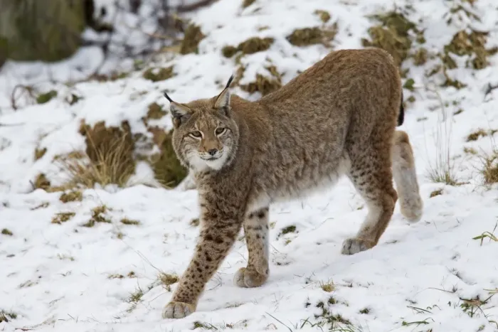 Framed Print : Picture No. 11672921 Framed Print : Picture No. 11672921