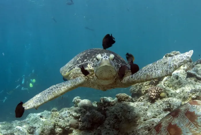 Framed Print : Picture No. 11675110