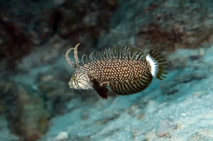 Framed Print : Picture No. 11675208 Framed Print : Picture No. 11675208