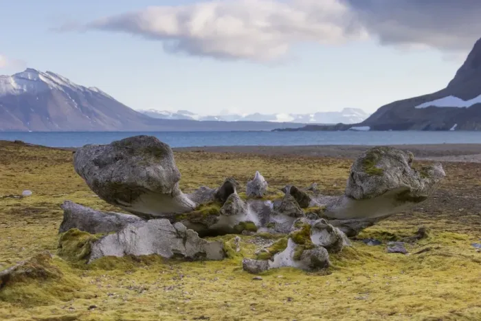 Framed Print : Picture No. 11676673 Framed Print : Picture No. 11676673