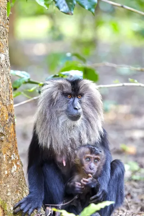 Framed Print : Picture No. 11676915