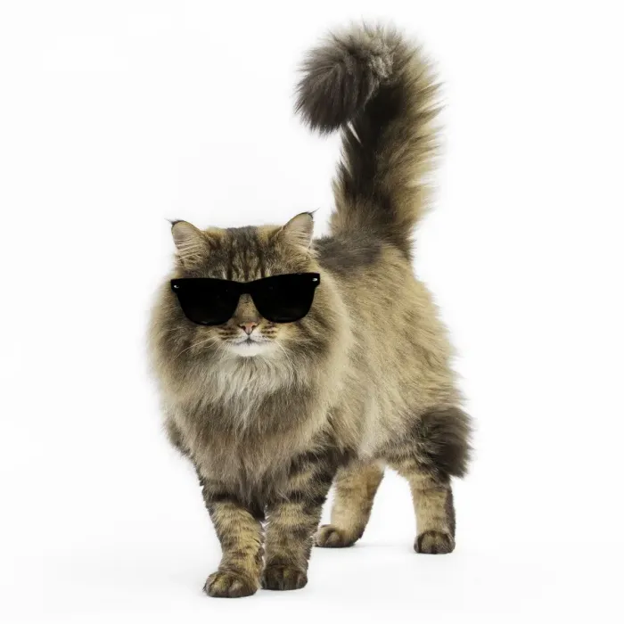 Framed Print : Picture No. 11769045 Framed Print : Picture No. 11769045