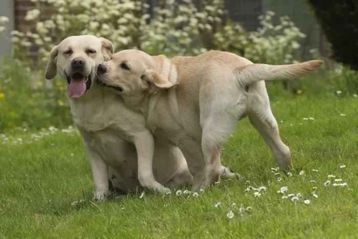 Framed Print : Picture No. 11770531 Framed Print : Picture No. 11770531