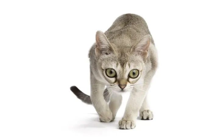Framed Print : Picture No. 11771776 Framed Print : Picture No. 11771776