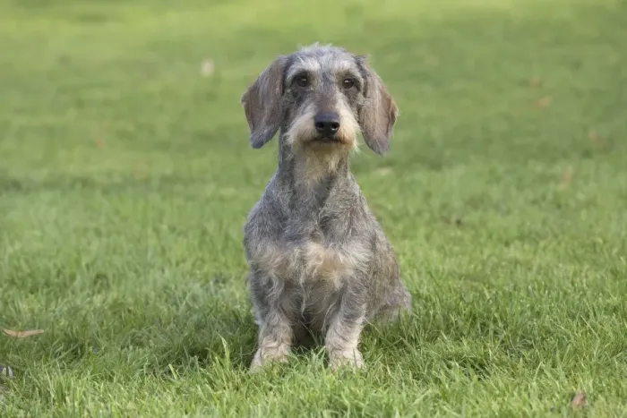 Framed Print : Picture No. 11771808 Framed Print : Picture No. 11771808