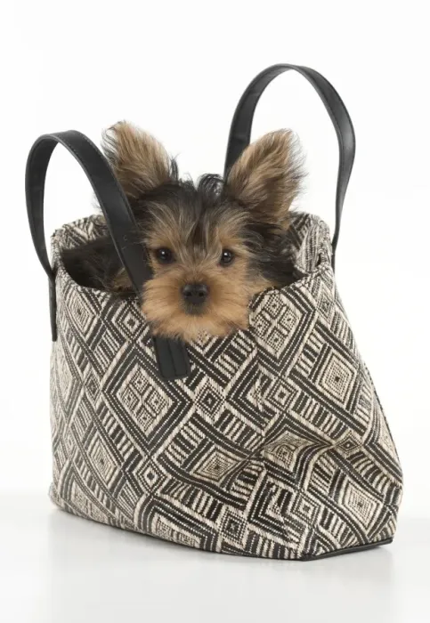 Framed Print : Picture No. 11772373 Framed Print : Picture No. 11772373
