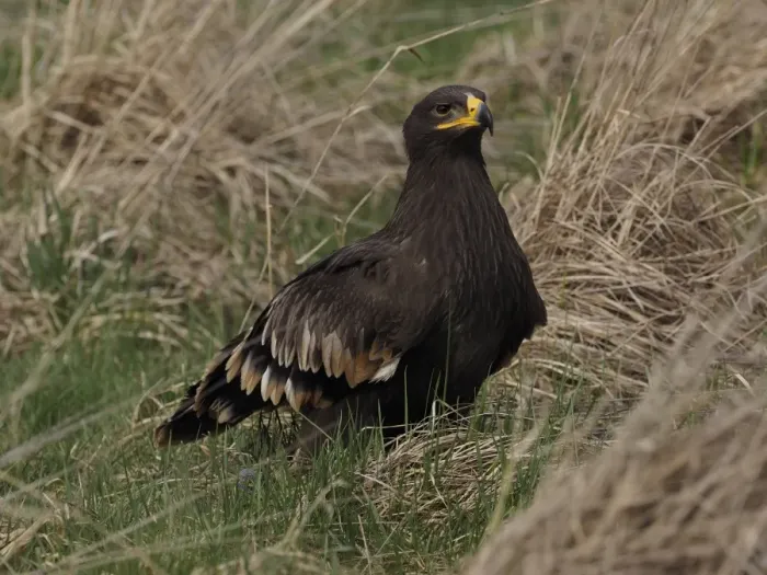 Framed Print : Picture No. 11808538 Framed Print : Picture No. 11808538