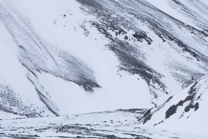 Framed Print : Picture No. 11808594 Framed Print : Picture No. 11808594