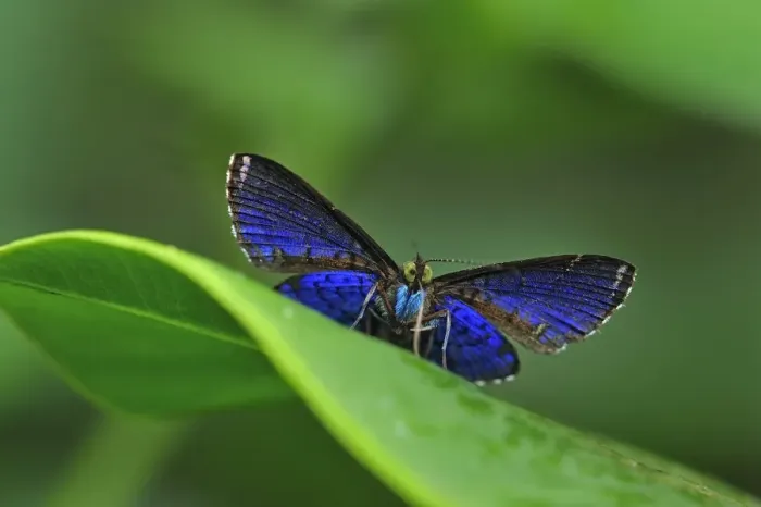 Framed Print : Picture No. 11980969 Framed Print : Picture No. 11980969