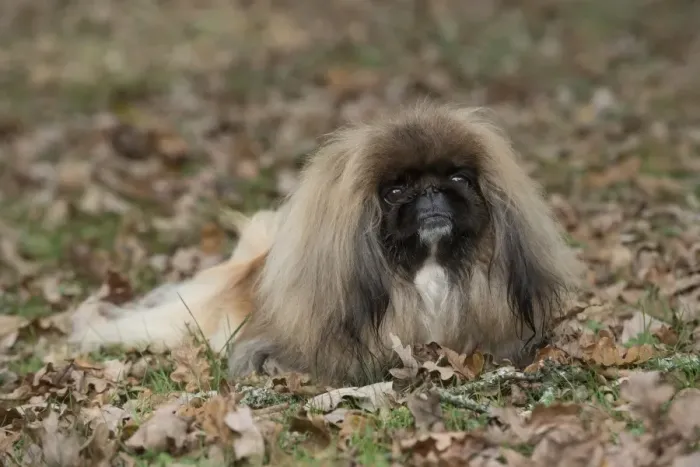 Framed Print : Picture No. 11982294 Framed Print : Picture No. 11982294