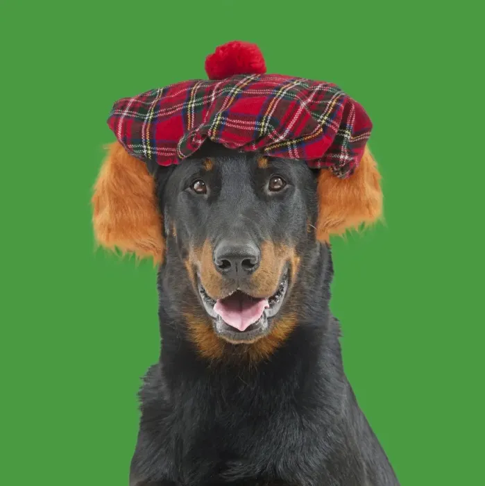 Framed Print : Picture No. 11982334 Framed Print : Picture No. 11982334