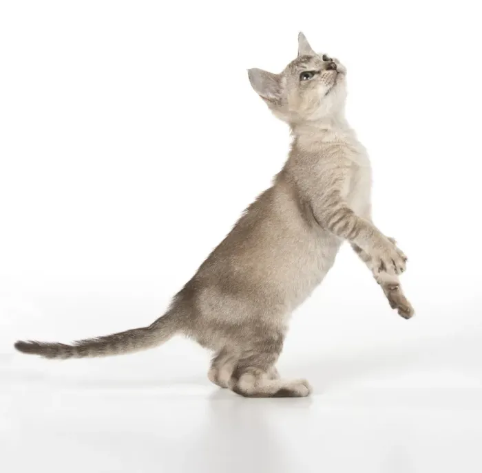 Framed Print : Picture No. 11991616 Framed Print : Picture No. 11991616