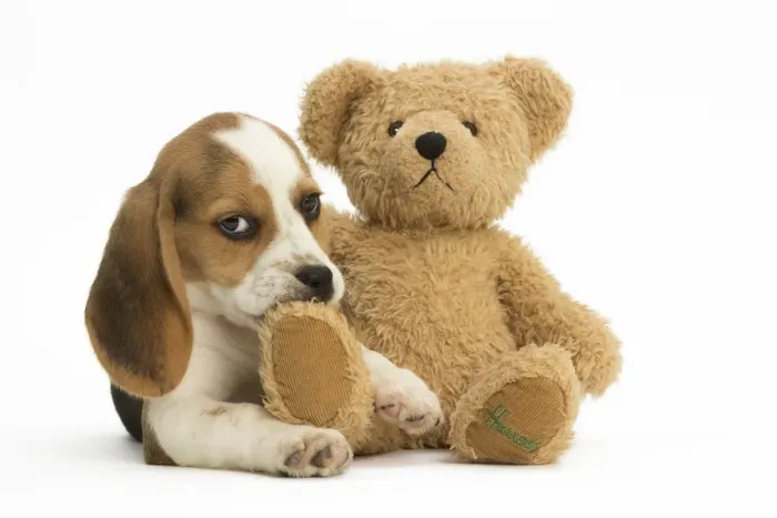Framed Print : Picture No. 11991666 Framed Print : Picture No. 11991666