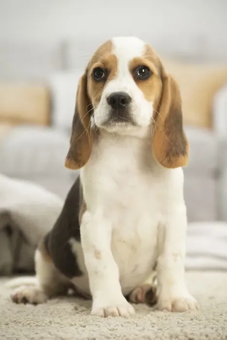 Framed Print : Picture No. 11991711 Framed Print : Picture No. 11991711