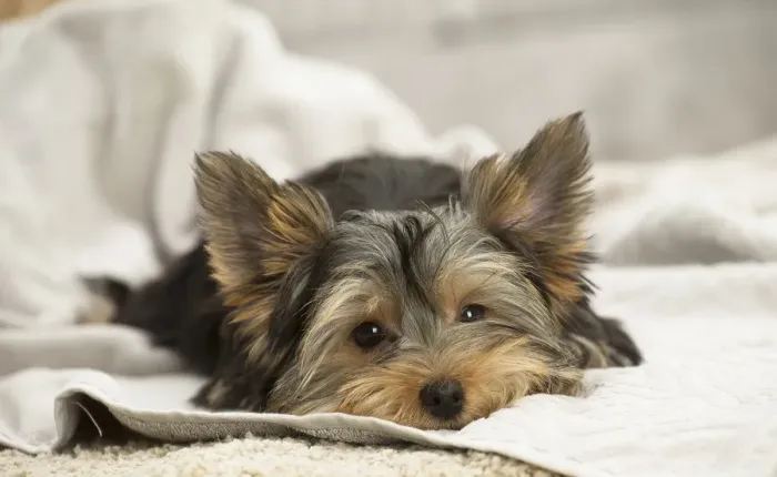 Framed Print : Picture No. 11991717 Framed Print : Picture No. 11991717