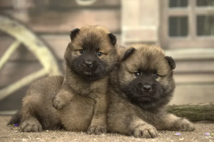 Framed Print : Picture No. 11991892 Framed Print : Picture No. 11991892