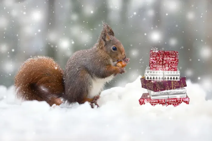 Framed Print : Picture No. 11993340 Framed Print : Picture No. 11993340
