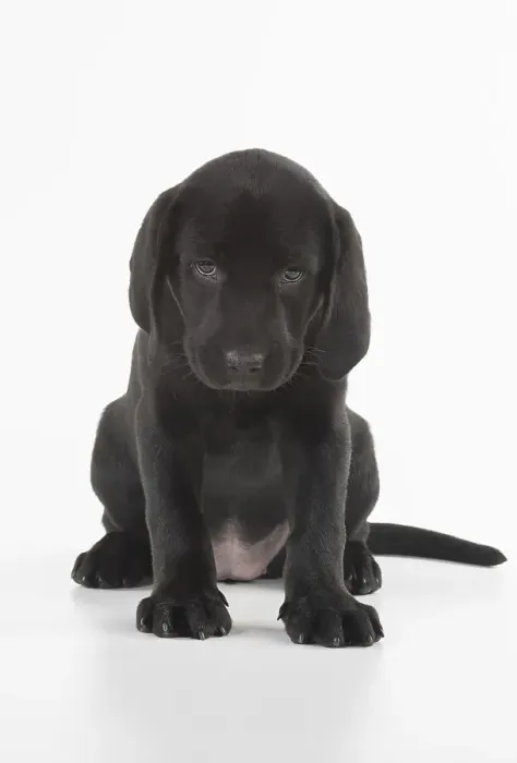 Framed Print : Picture No. 12010370 Framed Print : Picture No. 12010370