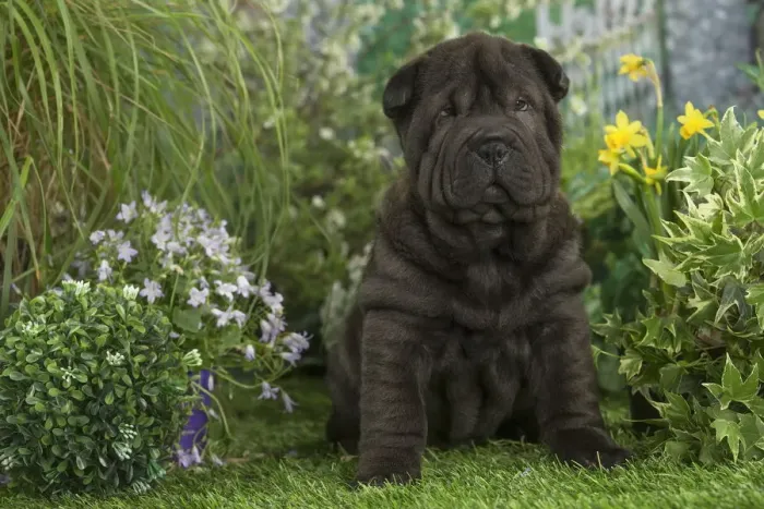 Framed Print : Picture No. 12478854 Framed Print : Picture No. 12478854