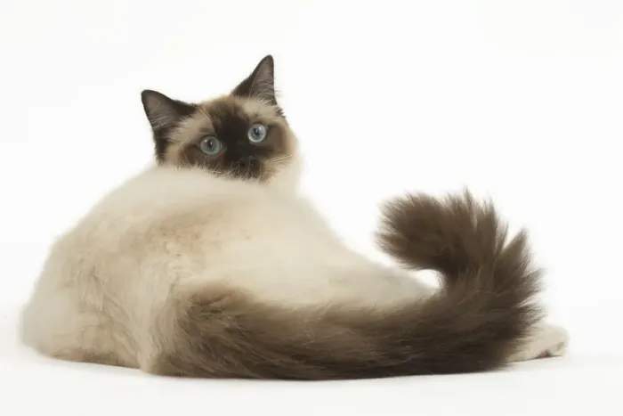Framed Print : Picture No. 12479008 Framed Print : Picture No. 12479008