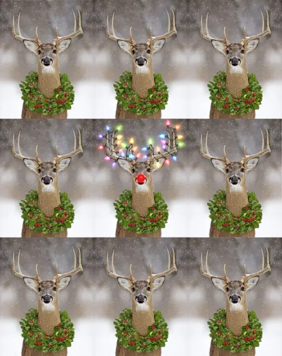 Framed Print : Picture No. 12479227