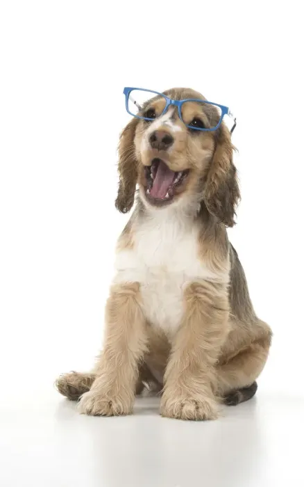 Framed Print : Picture No. 12479430 Framed Print : Picture No. 12479430