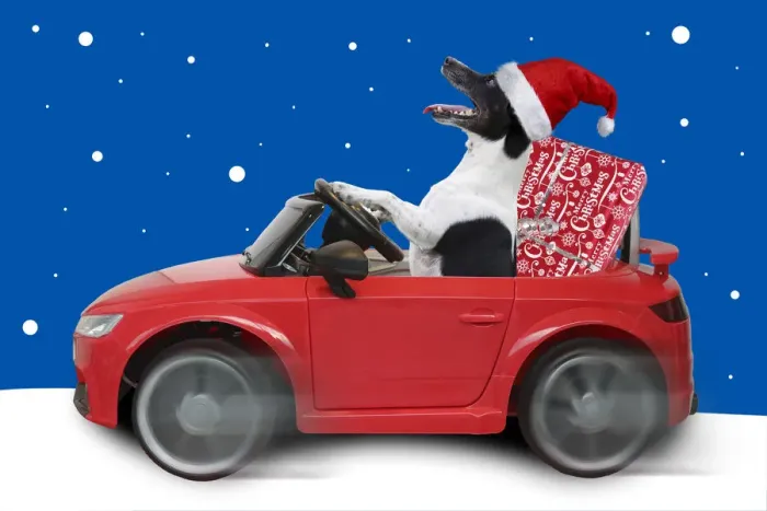 Framed Print : Picture No. 12479936 Framed Print : Picture No. 12479936