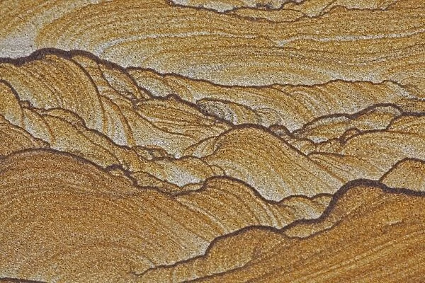 Picture Sandstone Detail - Northern Arizona  /  Utah - Natural sandstone formed 180 years to 220 million years ago by wind and water as part of the geological formation 'Shinarump' - Colors