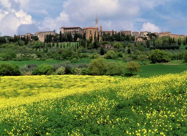 Pienza in spring ancient city of Pienza with colourful blooming fields in spring Val d'Orcia, Tuscany, Italy